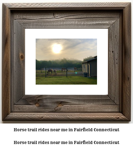 horse trail rides near me in Fairfield, Connecticut